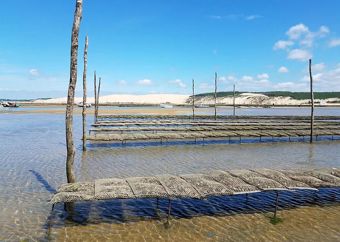 6 Pers Avec Terrasse 80 M², Hyper Centre, A 50m, 296 Bd De La Plage, - Fr-1-474-148 アパート *